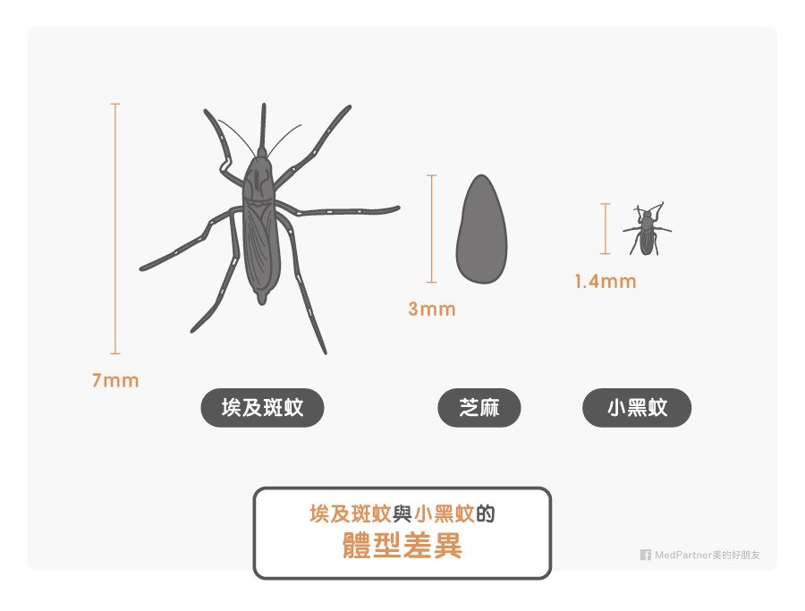 台湾での虫刺されに要注意！ 強烈な痒みに襲われる最恐の虫「小黒蚊」、刺された際の症状と対策